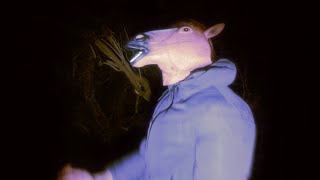 My life replayed before my eyes...