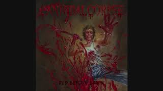 Cannibal Corpse - &quot;Red Before Black&quot; 2017 (FULL ALBUM)