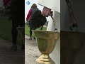 Koeien worden gezegend in Nieuwveen | #shorts