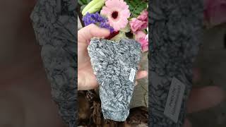 Pinolit leštěný řez 840g