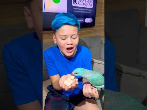 A BRIZA BOTOU 5 OVINHOS E O MC LORENZO COMEU? #mclorenzo