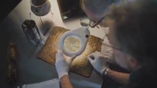 Ancient African Scrolls Expose Truths We Need Today