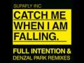 SUPERFLY INC - CATCH ME WHEN I AM FALLING ...