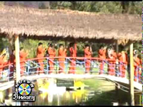 Banda señorial intocables Huayño