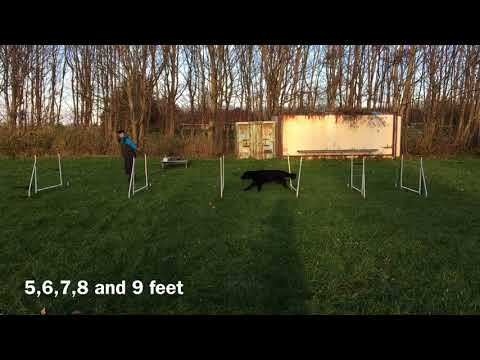 Fellah - 1 lesson - 5 session jumping mania 17. november 2017