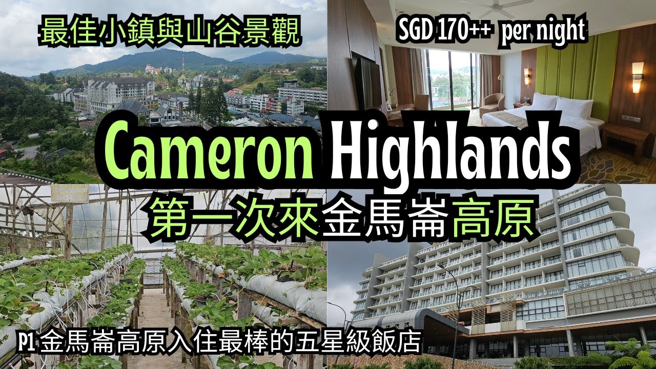 【金馬仑EP1】第一次來金馬仑高原 Cameron Highlands 高原 | 住進超豪華五星飯店＋絕美山谷小鎮景色！