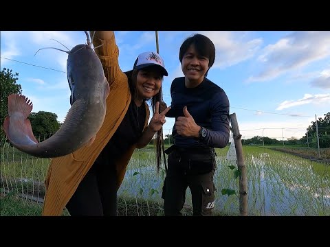 EP296-P1 - Pangangawil ng Hito Kasama si Harabas | Mrs. Harabas