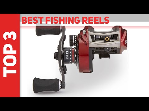 Best Fishing Reels in 2023 [Top 3 Best Fishing Reels]