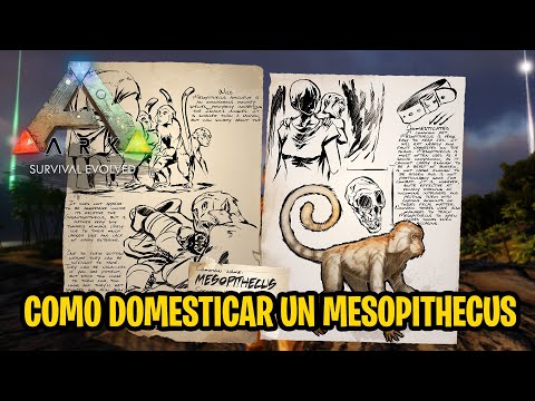 How to tame a Mesopithecus in ARK Survival Evolved 2020