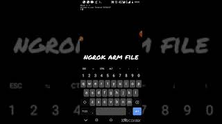 Ñgrok accessing AuthToken