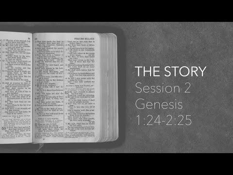 The Story Session 2 | Genesis 1:24-2:25