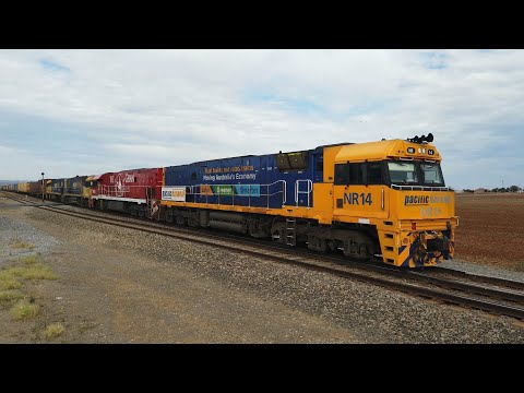 NR14 + NR74(Ghan) + NR8 + NR13