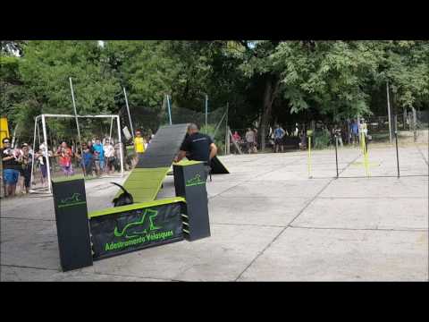 Evento beneficente Vai Totó - POA/RS - 26/03/2017