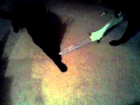 They just don't like to share :(