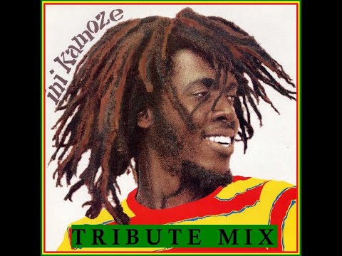 iNi Kamoze Tribute Mix 🇯🇲