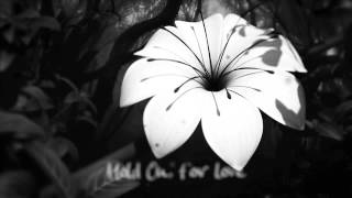 Hold On (Lyrics) - Julian Lennon &#39;Everything Changes&#39; The Videos