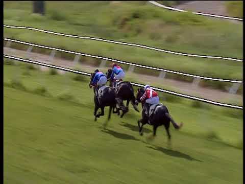 Galoppo 22/06/2018 - 1ª corsa