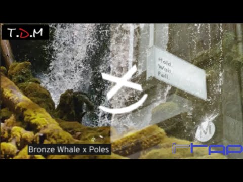 Bronze Whale x Poles - Hold. Wait. Fall.😍🔥