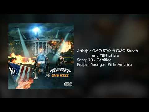 GMO Stax - Certified (feat. GMO Streetz & YBN Lil Bro)
