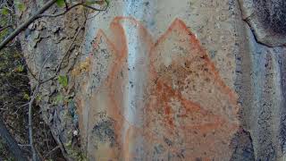 Águila, pintura rupestre en la Sierra de los Ojitos Durango