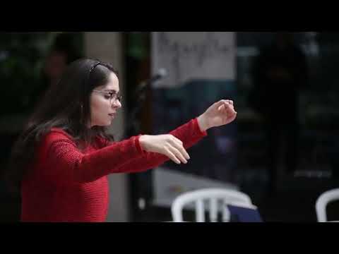 Pôr do Sol e A Velhice da Porta-Bandeira, de Eduardo Gudin - Denise Castilho