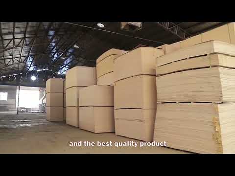 HARYANA SHUTTRING PLYWOOD