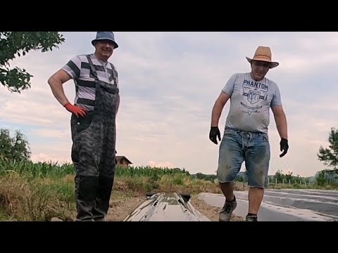 ŽIVA ISTINA#Ko će koga, nego svoj svoga. Rođak me iskoristio. Pogledajte kako?