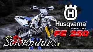 Test Husqvarna FE 250 Soloenduro