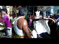 Venkates Perumal Kalaikulu Vellore District Ananganallore Village Karakaattam