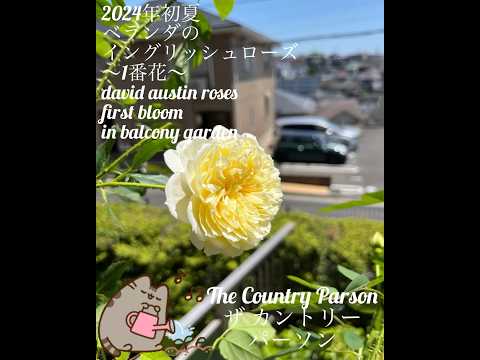 バルコニーの花: 想像力豊かに組み合わせたもの トピックス