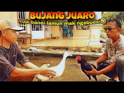 bujang-juara-film-pendek-komedi-kampungan-eps-06