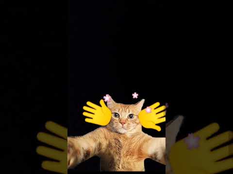 Tu haa, tu haa😂😂😂😂