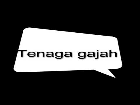 video-viral-bugis-tenaga-gajah