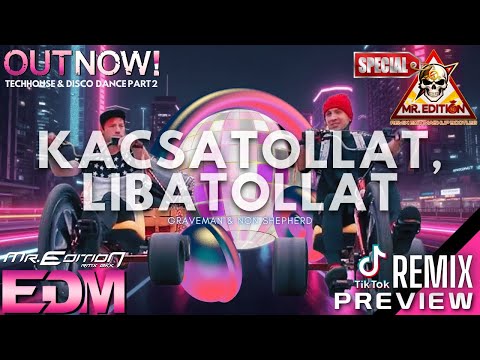 Mr.Edition ◉ Kacsatollat, Libatollat Graveman & Non Shepherd #EDM #TECHHOUSE #remix #DISCO DANCE