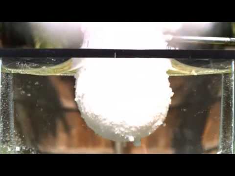 Cuz Science! When Molten Salt is dropped into fish tank.