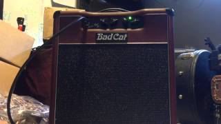 Video thumbnail for Bad Cat Mini Cat II & Les Paul by andrewandthecatfives