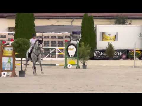 LEVINO (8yo Levisonn) 31.07.21 Schörfling AUSTRIA - 6. Place 140 cm