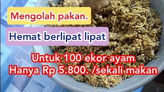 Download lagu How to process free-range chicken feed from available ingredients into high-quality feed || CHICK... mp3 Download lagu How to process free-range chicken feed from available ingredients into high-quality feed || CHICK... mp3