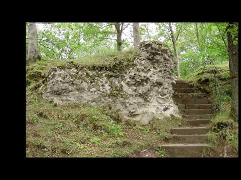 Burgruine Scharzfels