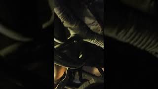 Crankshaft position sensor location 1997 dodge grand caravan 3.8 liter