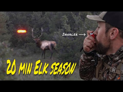 TAGGED OUT in 25 minutes on PUBLIC!! | Archery Elk 2022 (Giveaway)