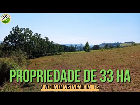 Propriedade de 33 ha à venda na região de Vista Gaúcha - RS