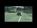 A Mother Bear Struggles To Get Her Cubs Across The Street