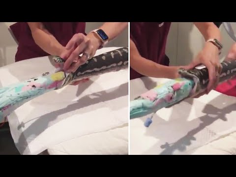 救援人員如何從蟒蛇口中拉出整條毛巾？ (How Rescuers Pulled an Entire Towel from Python's Mouth)