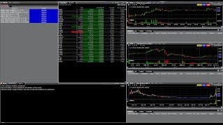 Penny Stock Live Scan for Momentum / Breakouts using Interactive Brokers