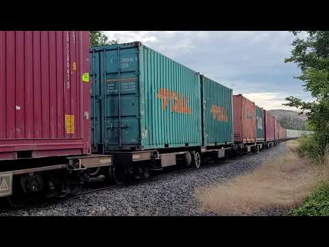 Tasrail train #36 Tea Tree