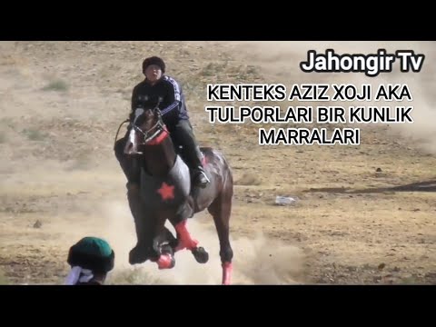 JIZZAX KENTEKS AZIZ XOJI TULPORLARI BIR KUNLIK MARRASI. 22.10.2022