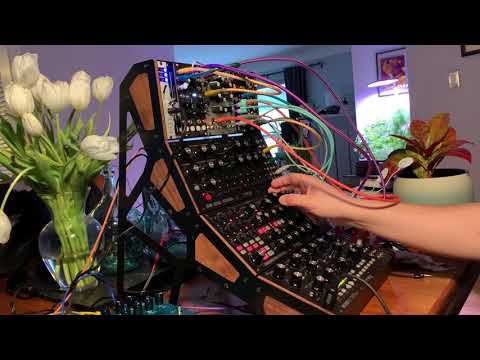 “Codiaeum variegatum” Garden Croton | Moog Trinity x Instruo