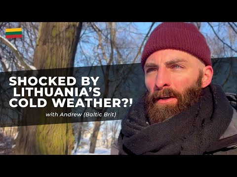 Discoveries About Lithuania This Month: It's Cold + A Term Of Endearment Related To Bees!