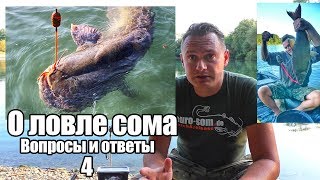 Все о ловле сома на донку
